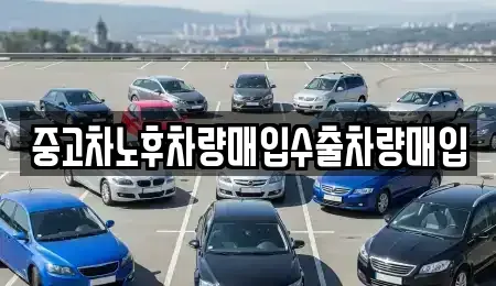 경기도 안성시 당왕동 중고차매입 전문 중고차노후차량매입수출차량매입