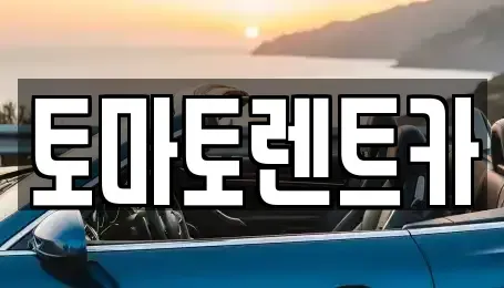 경기도 안성시 명륜동 렌트카 전문 토마토렌트카