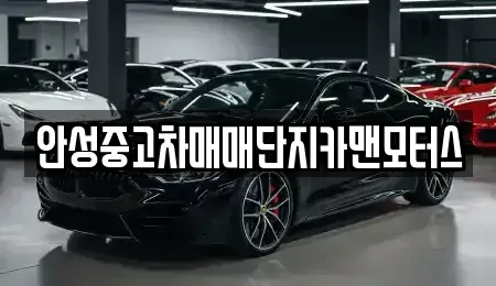 경기도 안성시 명륜동 중고차 전문 안성중고차매매단지카맨모터스