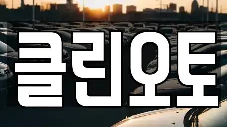 경기도 안성시 명륜동 중고차 전문 클린오토