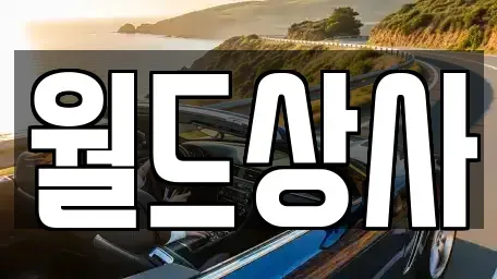 경기도 안성시 명륜동 중고차매매 전문 월드상사