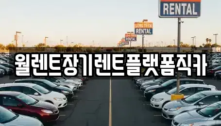 경기도 안성시 미양면 장기렌트카 전문 월렌트장기렌트플랫폼직카
