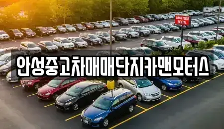 경기도 안성시 미양면 중고차 전문 안성중고차매매단지카맨모터스