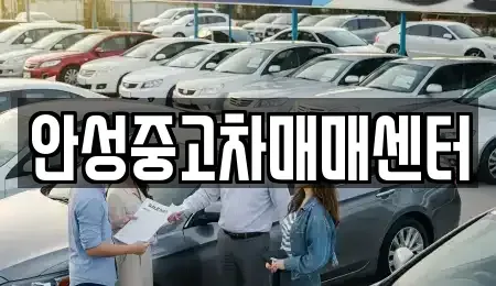 경기도 안성시 미양면 중고차 전문 안성중고차매매센터