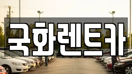 경기도 양주시 덕정동 렌트카 전문 국화렌트카