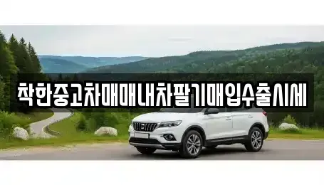 경기도 양주시 덕정동 중고차매입 전문 착한중고차매매내차팔기매입수출시세