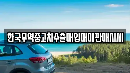 경기도 양주시 덕정동 단기렌트카,중고차매입,중고차매매,중고차,렌트카,장기렌트카