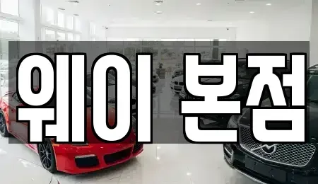 경기도 의왕시 고천동 단기렌트카 전문 웨이 본점