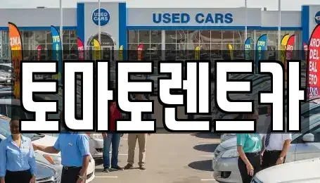 경기도 이천시 설성면 렌트카 전문 토마토렌트카