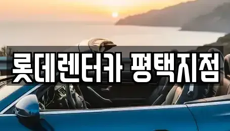 경기도 평택시 고덕면 단기렌트카 전문 롯데렌터카 평택지점
