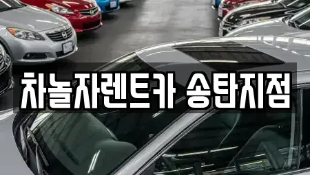 경기도 평택시 고덕면 단기렌트카 전문 차놀자렌트카 송탄지점