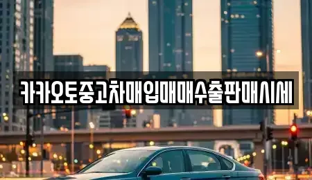 경기도 평택시 고덕면 중고차매매 전문 카카오토중고차매입매매수출판매시세
