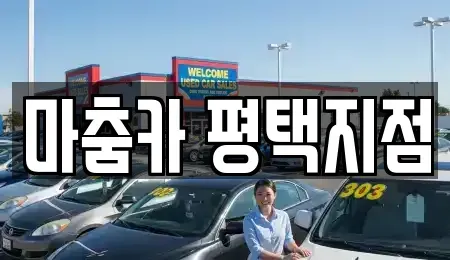 경기도 평택시 독곡동 렌트카 전문 마춤카 평택지점