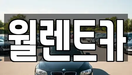 경기도 평택시 독곡동 렌트카 전문 월렌트카