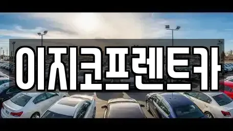 경기도 평택시 독곡동 렌트카 전문 이지코프렌트카