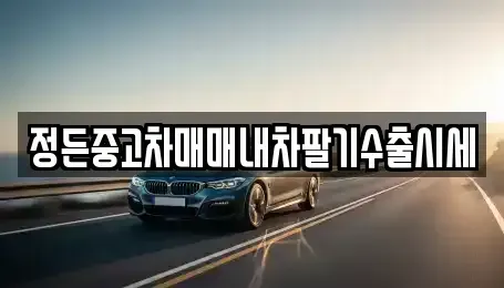 경기도 평택시 독곡동 중고차매매 전문 정든중고차매매내차팔기수출시세
