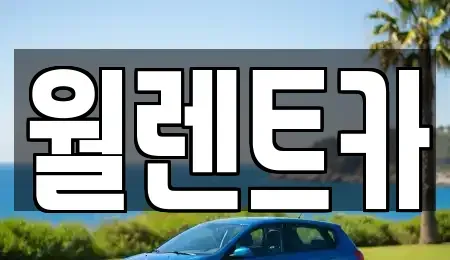 경기도 평택시 신장동 렌트카 전문 월렌트카