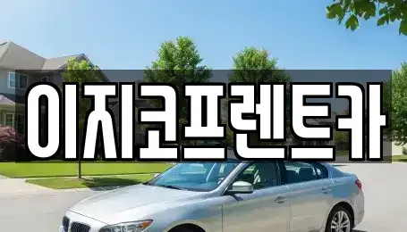 경기도 평택시 신장동 렌트카 전문 이지코프렌트카