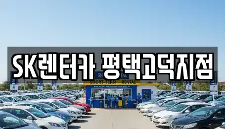 경기도 평택시 신장동 장기렌트카 전문 SK렌터카 평택고덕지점