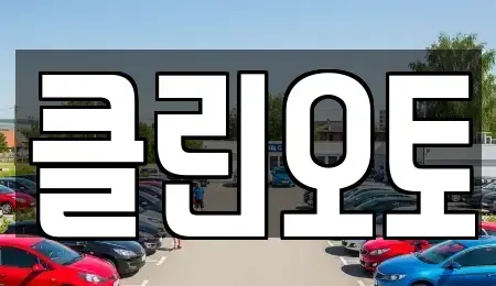 경기도 평택시 신장동 중고차매매 전문 클린오토