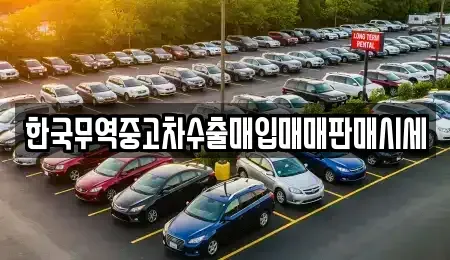 경기도 평택시 신장동 중고차매입 전문 한국무역중고차수출매입매매판매시세