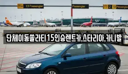 경기도 평택시 용이동 렌트카 전문 단체이동쏠라티15인승렌트카,스타리아,카니발