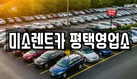 경기도 평택시 용이동 렌트카 전문 미소렌트카 평택영업소