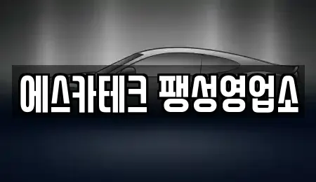 경기도 평택시 용이동 렌트카 전문 에스카테크 팽성영업소