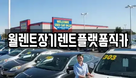 경기도 평택시 용이동 장기렌트카 전문 월렌트장기렌트플랫폼직카
