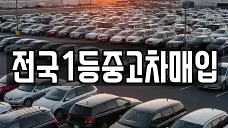 경기도 평택시 용이동 중고차매매 전문 전국1등중고차매입