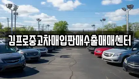 경기도 포천시 영북면 중고차매입 전문 김프로중고차매입판매수출매매센터