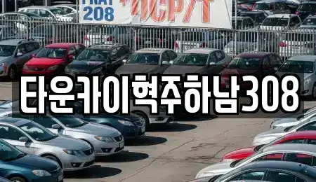 경기도 하남시 미사동 단기렌트카 전문 타운카이혁주하남308