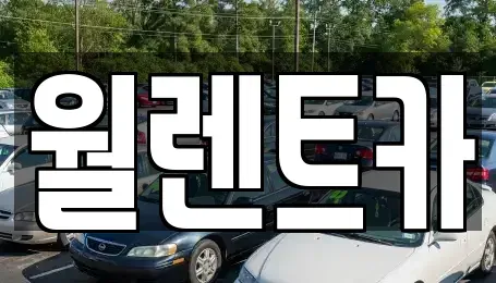 경기도 하남시 미사동 렌트카 전문 월렌트카