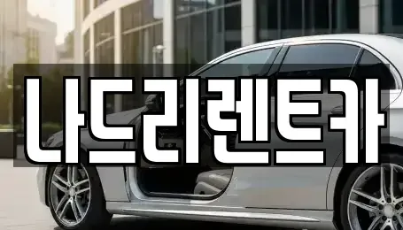 경기도 하남시 미사동 장기렌트카 전문 나드리렌트카