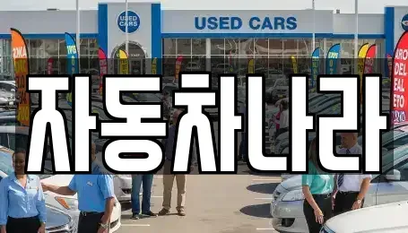 경기도 하남시 미사동 중고차 전문 자동차나라