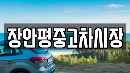 경기도 하남시 미사동 중고차 전문 장안평중고차시장