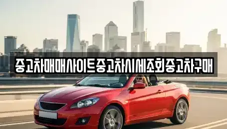 경기도 하남시 미사동 중고차 전문 중고차매매사이트중고차시세조회중고차구매