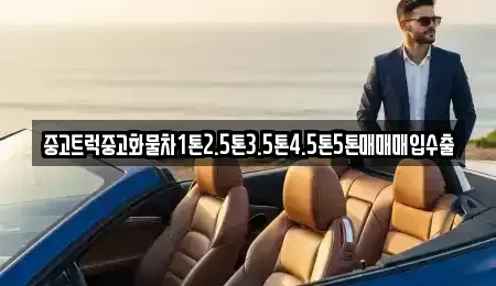 경기도 하남시 미사동 중고차 전문 중고트럭중고화물차1톤2.5톤3.5톤4.5톤5톤매매매입수출
