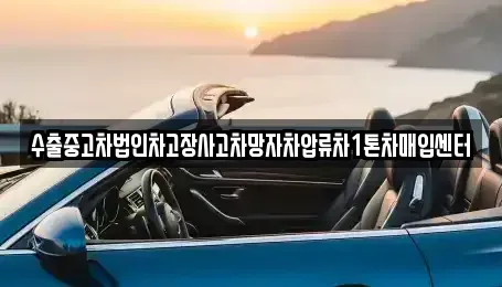 경기도 하남시 미사동 중고차매입 전문 수출중고차법인차고장사고차망자차압류차1톤차매입센터