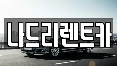 경기도 하남시 창우동 장기렌트카 전문 나드리렌트카