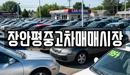 경기도 하남시 창우동 중고차매매 전문 장안평중고차매매시장
