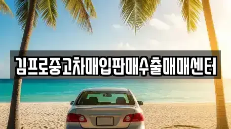 경기도 하남시 창우동 중고차매입 전문 김프로중고차매입판매수출매매센터