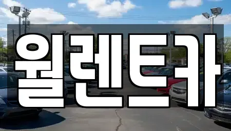 경기도 화성시 반정동 렌트카 전문 월렌트카