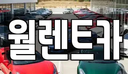 경기도 화성시 산척동 렌트카 전문 월렌트카