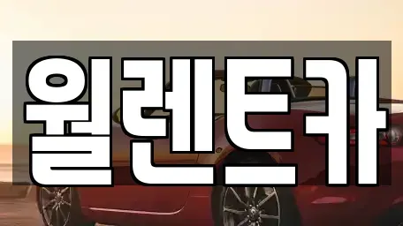 경기도 화성시 영천동 렌트카 전문 월렌트카