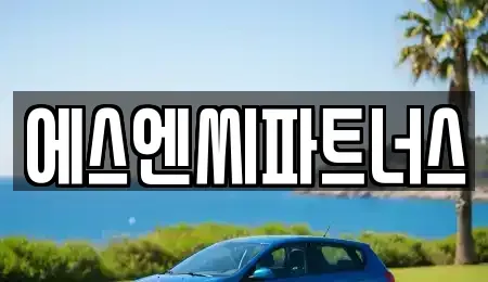 경기도 화성시 영천동 장기렌트카 전문 에스엔씨파트너스