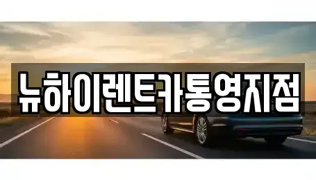 경남 고성군 고성읍 장기렌트카 전문 뉴하이렌트카통영지점
