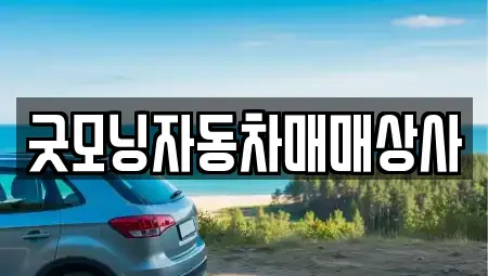 경남 고성군 중고차 전문 굿모닝자동차매매상사