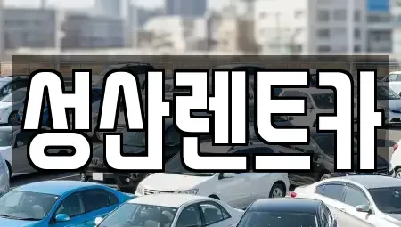 경남 김해시 풍유동 렌트카 전문 성산렌트카