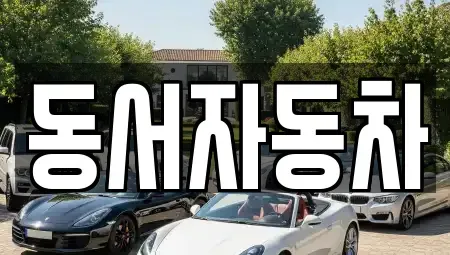경남 진주시 망경동 중고차 전문 동서자동차